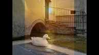 LA MIA BASILICATA RACCOLTA DI FOTO DI GIOVANNI SALVATORE MOTTA IN TERRA DI LUCANIA