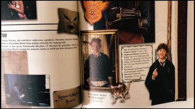 MÖSYÖ TAHA’NIN HARRY POTTER AJANDASINI İNCELEDİM! ÖZEL STİCKERLAR VE HARRY'NİN MEKTUBU!
