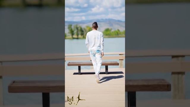 MAXI   Pasos Libres   X Amada & El Beso que no le di
