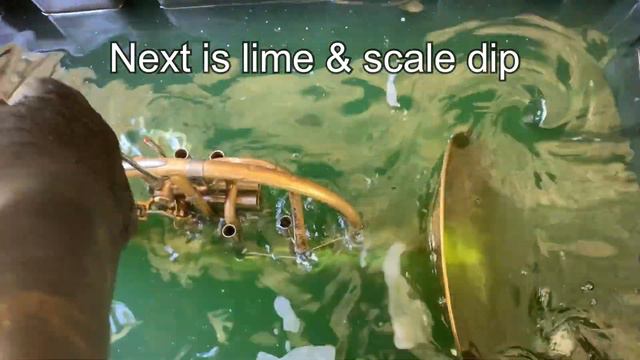 Chemical Flush- Wes Lee Music Repair