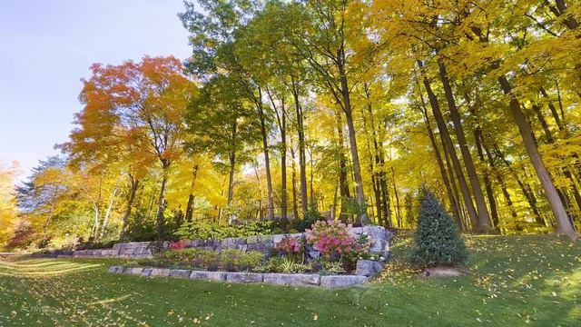 Осенние краски и красивые дома в пригороде Торонто