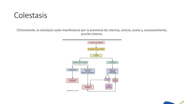 Semana 8 - Síndrome Ictérico