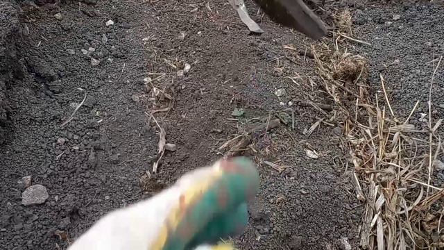 нашел старинный утюг...
