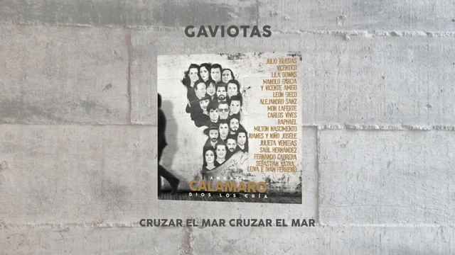 Andrés Calamaro, Saúl Hernández - Gaviotas (Lyric Video)