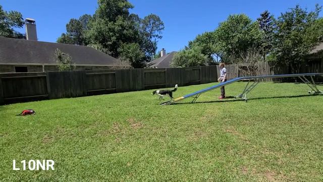 Menty Plank 40 Cm