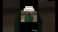 Попугай иннокентий