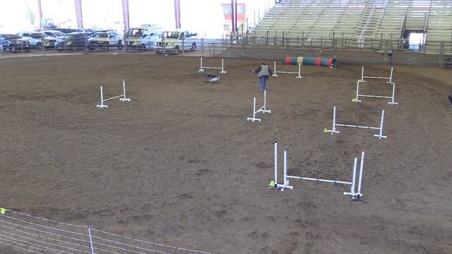 Vega Novice Jumpers R4 5 7 23