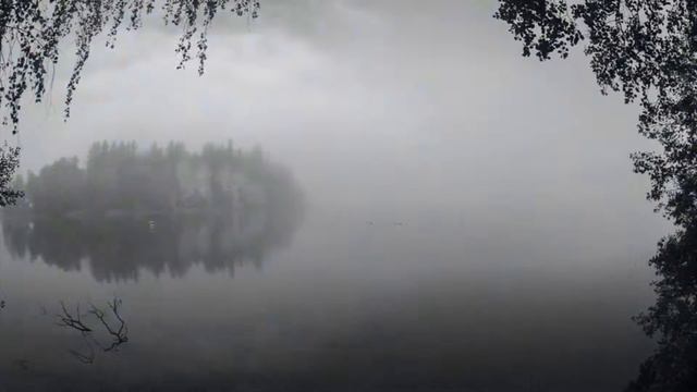 Bertold Hummel Elegie (viola and organ)