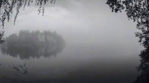 Bertold Hummel Elegie (viola and organ)