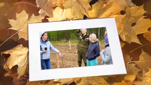 Григорьевские Сады