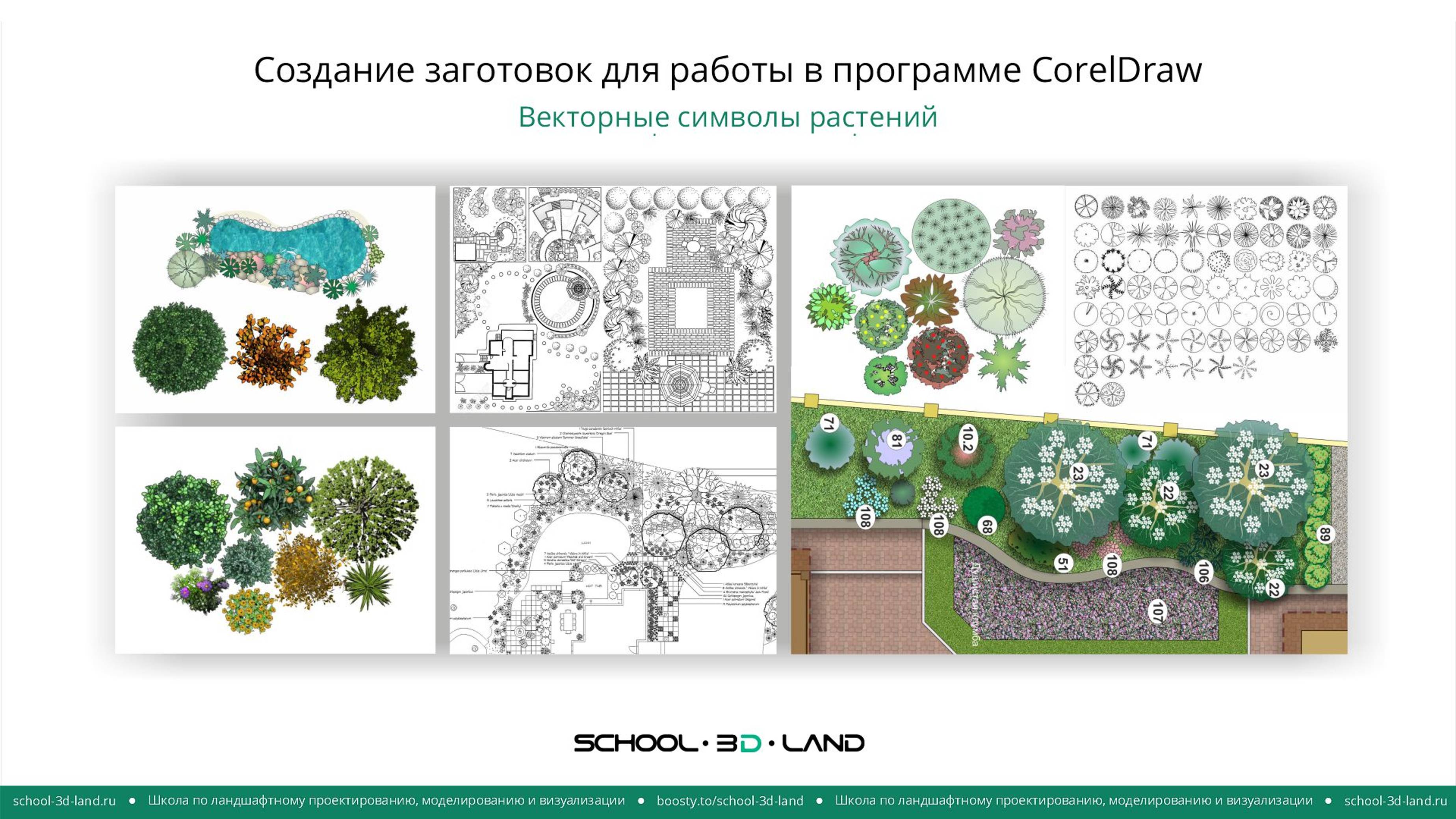 CD11. Создание  заготовок для работы в CorelDraw. Векторные символы растений. Часть 1