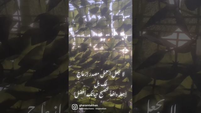 "العمل" من أقوال العالم حسن بن الهيثم  #like  #myvoiceyourchoice  #subscribe