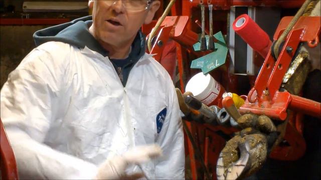 Karl Burgi Hoof trimming with Crediton Milling Co