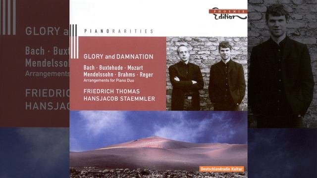Monologe, Op. 63 (arr. H. Breuer) : No. 5. Introduction