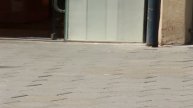 Enjoy the Virtual Tour of Barcelona While Walking at Home. 10 minutes Indoor Walking