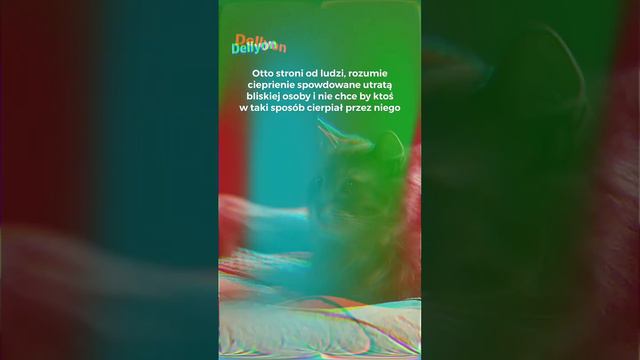 Jak unikać ludzi? #nonsensdrama #otto #film