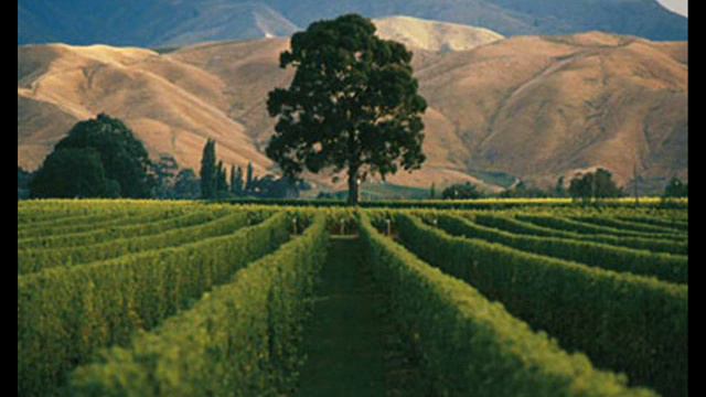 J. Dowland-The King of Denmark galliard