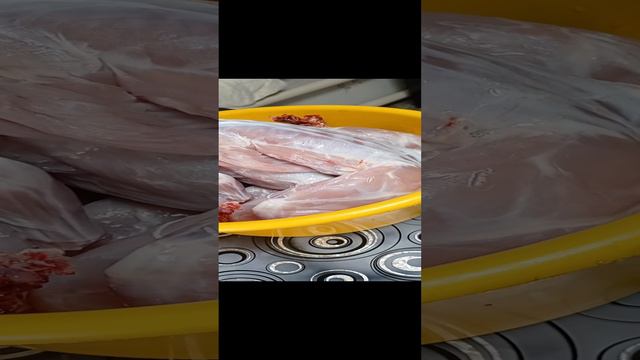 мясо кролятина продаю