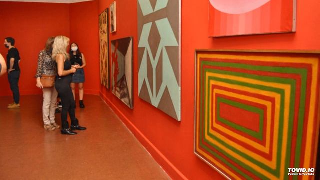 Guillermo Fantoni | Micro Artes Visuales 4-6