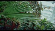 Crush String Collective ~ Fluff Baroque ~~ Live Session ~ Paradehuset, Gisselfeld