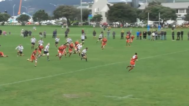Levi Harmon / Poneke Highlights 2019