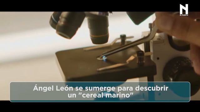 Es noticia: Ángel León se sumerge para descubrir un cereal marino