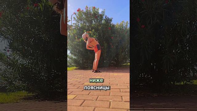 Работаем с прогибами