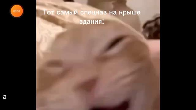 Типичное задание спецназа🤣🤣🤣