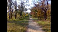 Песня Сергея Ларина «Ждём откровений»