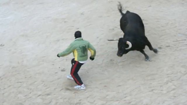 Carnaval del Toro en Ciudad Rodrigo, 2010, vídeo 9, Capea Domingo tarde