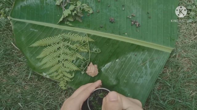 2 minute ot ghorua poidhotit dator bikhor dorob....#assamese vlog