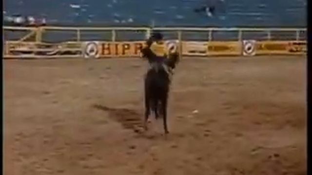 Antonio Calheiros Rodeio de barretos Ano de 1994
