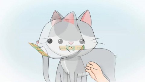 適正飼養啓発アニメ『学ぶことは愛すること』 猫編 第三章「ミアとの新生活」