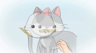 適正飼養啓発アニメ『学ぶことは愛すること』 猫編 第三章「ミアとの新生活」