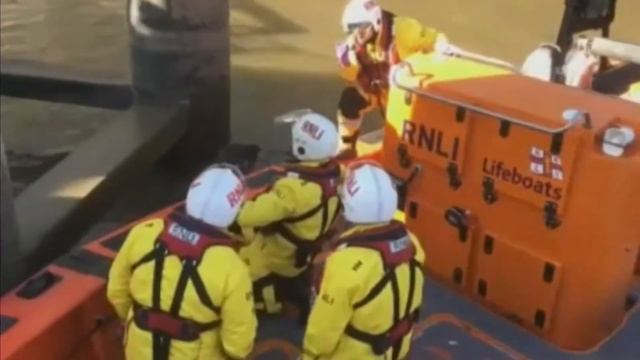 Cleo the Hawk rescued on the River Thames (UK) - ITV London News - 15th February 2019