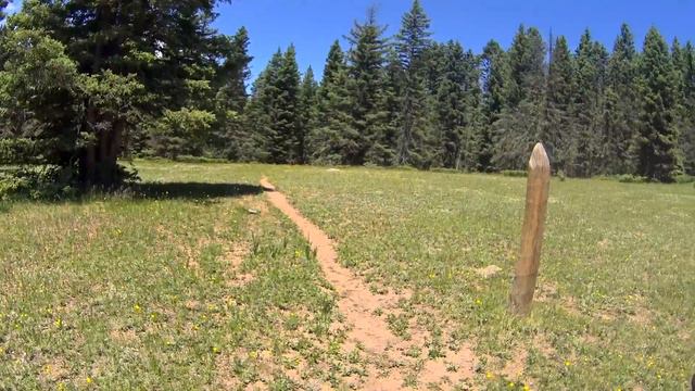 Backpacking: San Pedro Parks Wilderness ~ Cuba, New Mexico, USA