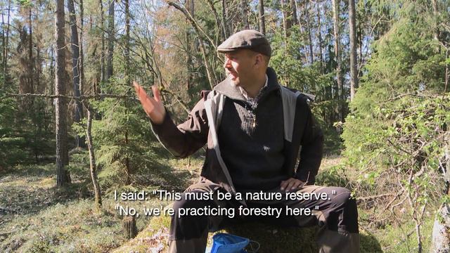 Forestry: A More Sustainable Way – with Mikael Karlsson