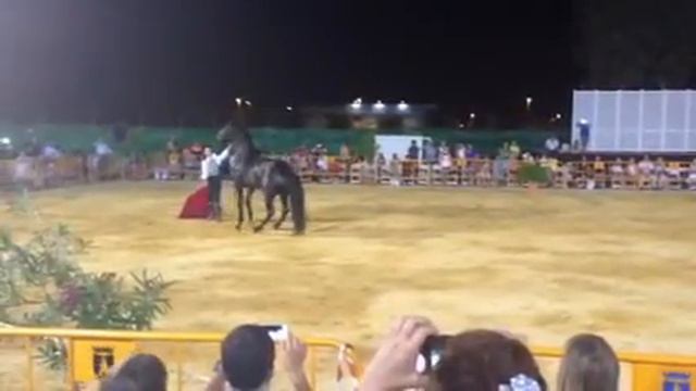 Toreando a un caballo