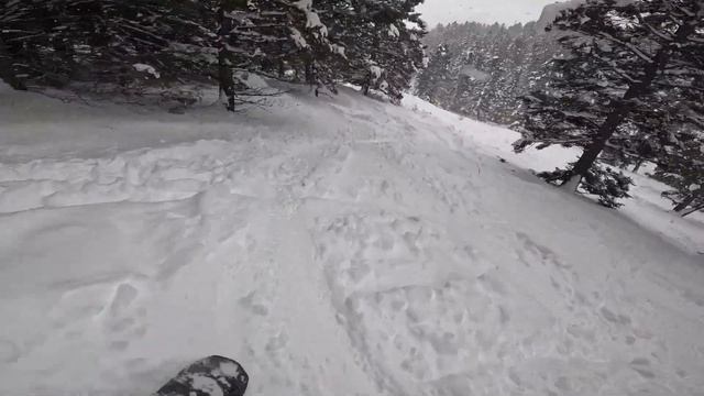 Full Day Snowboarding and Exploring Jackson Hole Resort, Wyoming (Day 2)