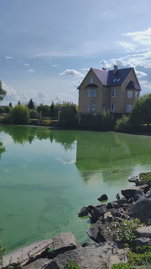 Вода в озере Большие Касли позеленела