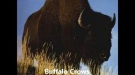 Buffalo Crows - When The Levee Breaks (Memphis Minnie cover)