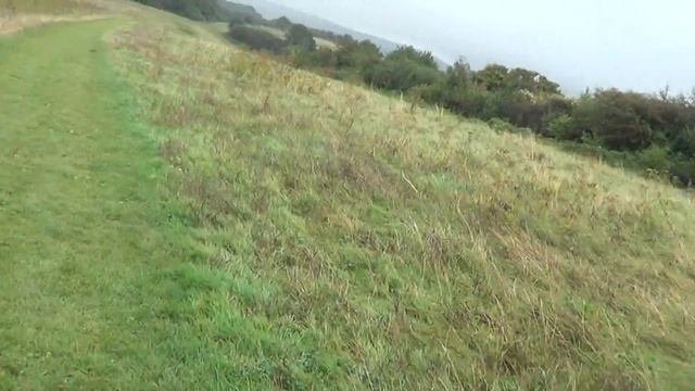 Foxy and Karl Gilbert walking Barley the Dog in Hove 05/09/2016 pt5