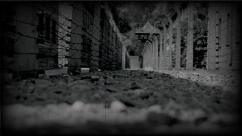 The Brown Stigler Incident: The German Pilot Who Assisted An American Bomber During World War I