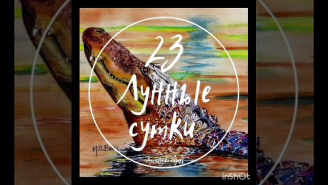 23 Лунные сутки