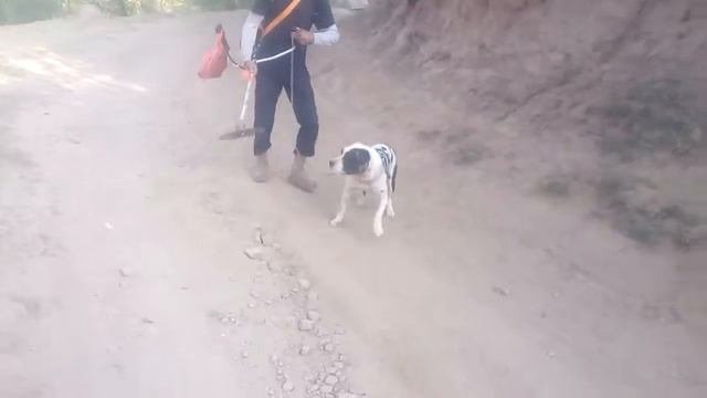 Халид патриот(2)