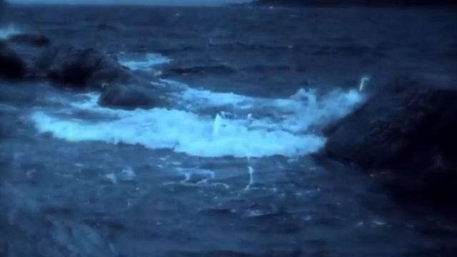 Purfie's Song (Pure Water)