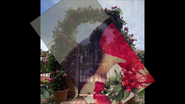 GIORGIO CONSOLINI        CANCELLO TRA LE ROSE