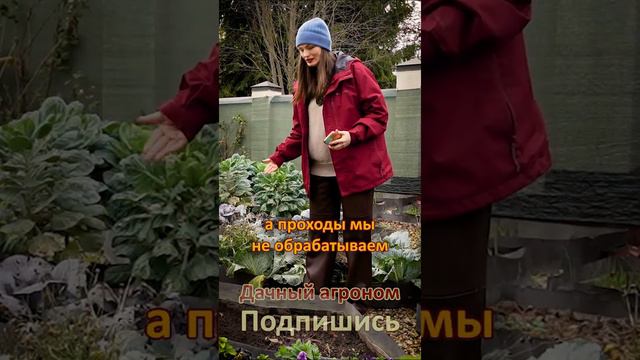 Умные грядки и земля как хлеб