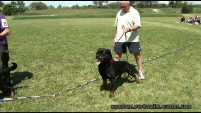 Dessau rottweiler show - 26-27 May