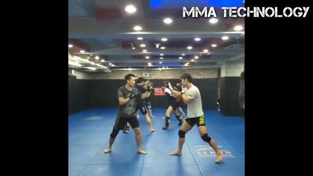 Финальный бой года UFC Fight Night 165 Фрэнк Эдгар vs Корейский Зомби прогноз
